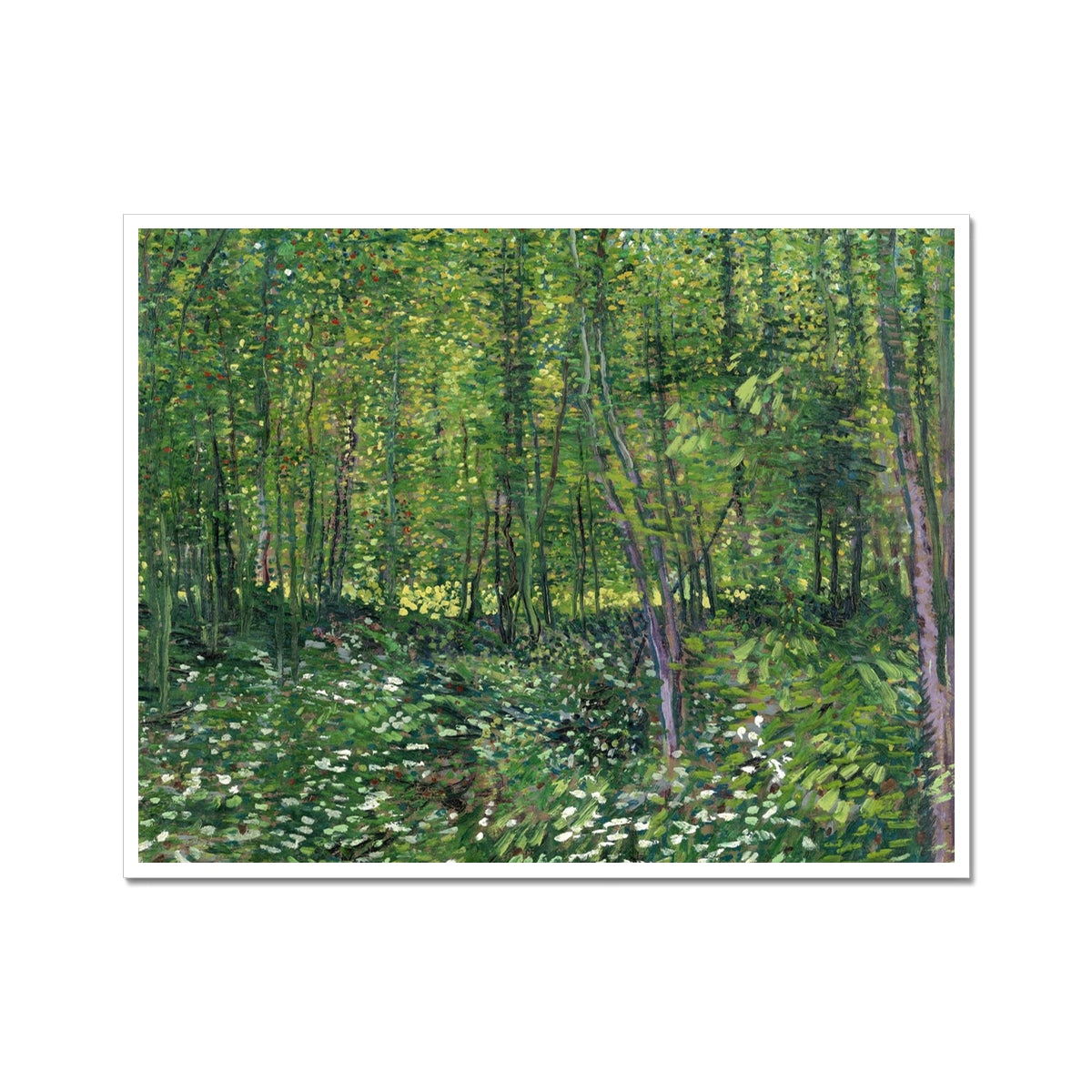 image0