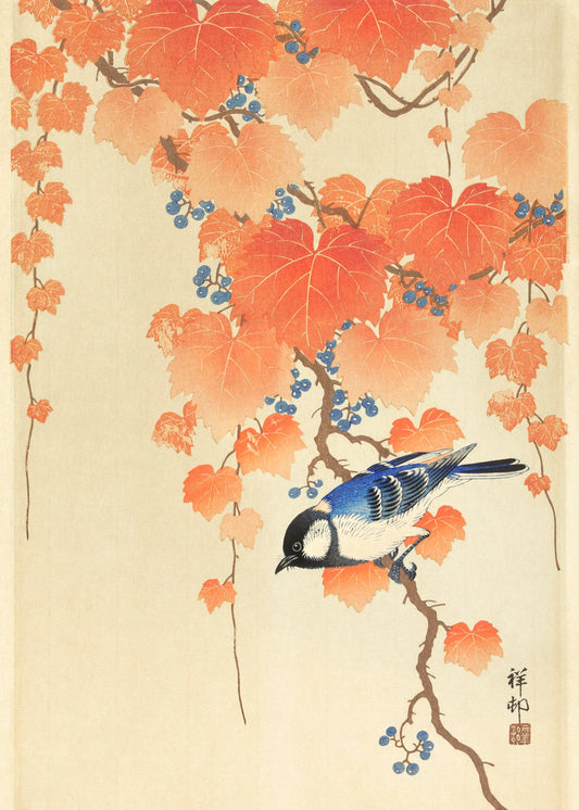 Great Tit on Paulownia Branch | Ohara Koson | 1930