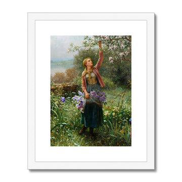 Picking Blossoms | Daniel Ridgway Knight | 1902
