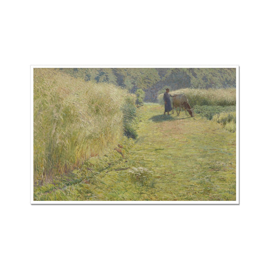 Summer | Emile Claus | 1893