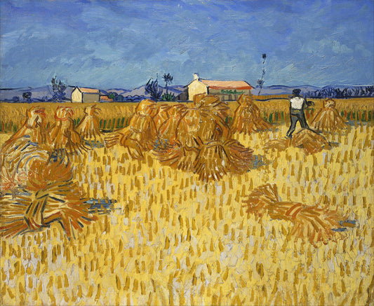 Récolte de blé en Provence | Vincent Van Gogh | 1888