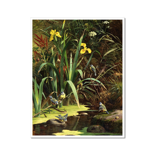 image0