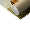 image0