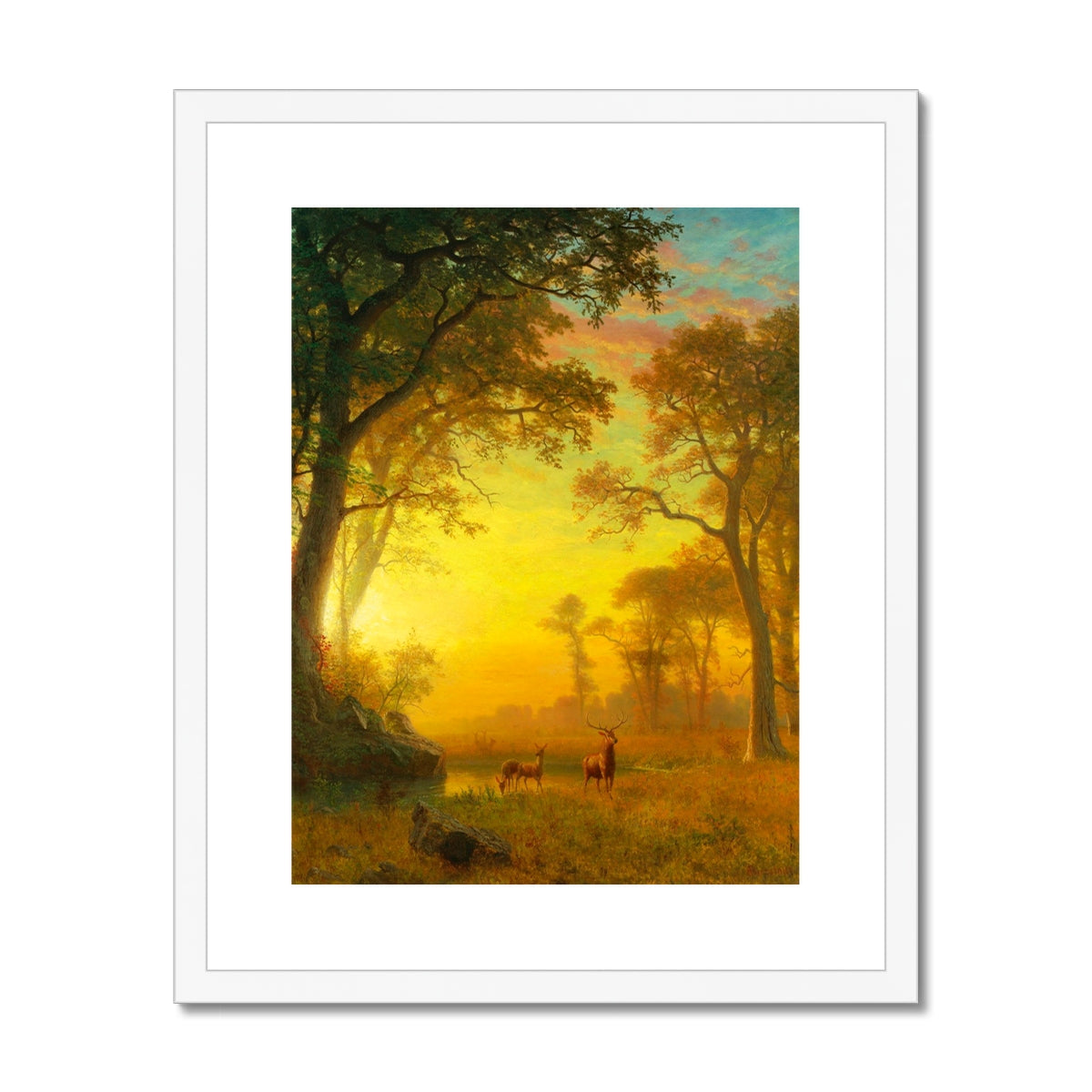image3