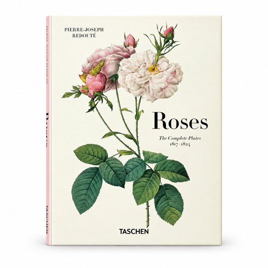 Redouté: Roses — AI-assisted studio display