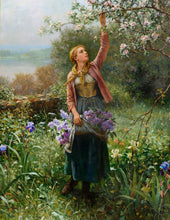 Load image into Gallery viewer, Picking Blossoms | Daniel Ridgway Knight | 1902
