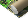 image0