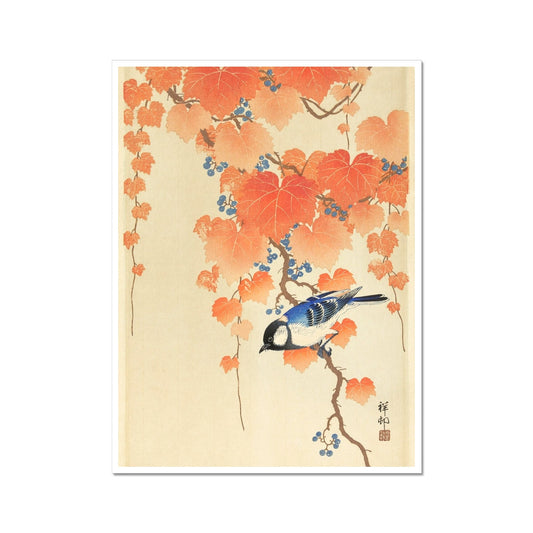 image0