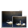 Swans in Reeds | Bruno Liljefors | 1907
