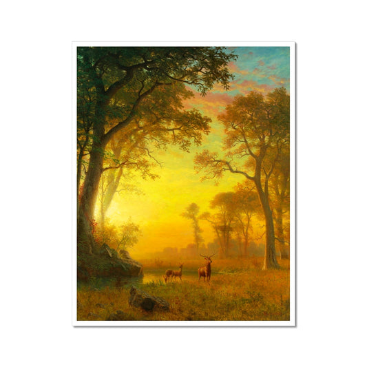 image0