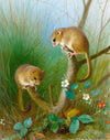 Dormice | Archibald Thorburn | 1903