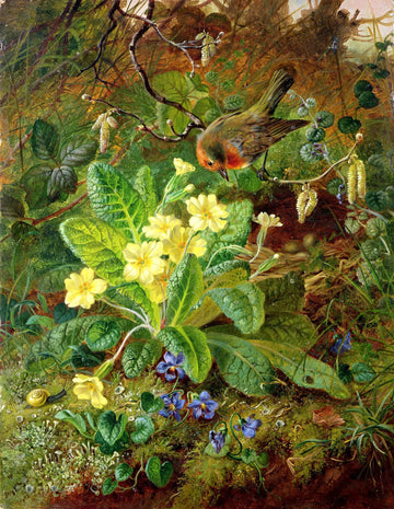 Primrose and Robin | John Wainwright | 1864