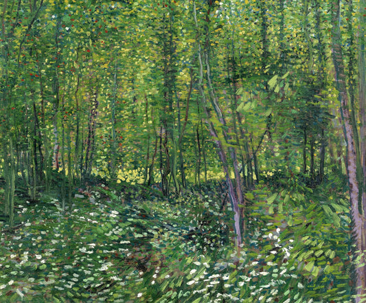 Trees and Undergrowth | Vincent van Gogh | 1887