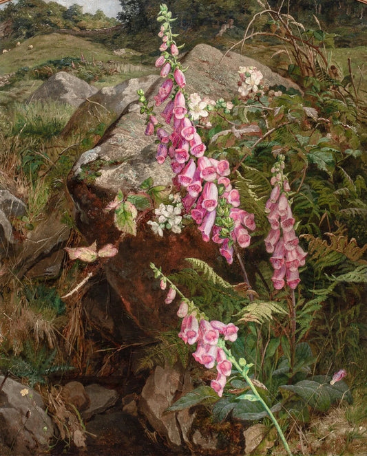 Still Life of Foxgloves  | Martha Mutrie | 19th Century