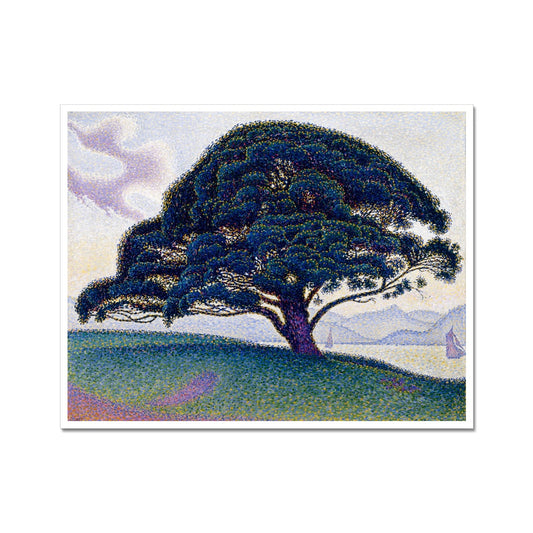 Le pin Bonaventure | Paul Signac | 1893