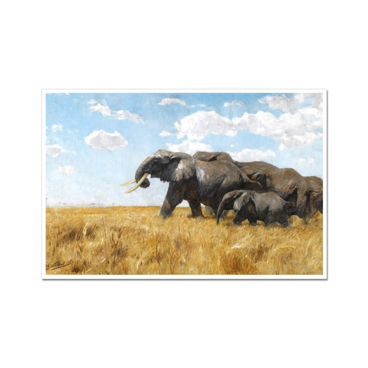 Elephants on the Move | Wilhelm Kuhnert | 19th Century