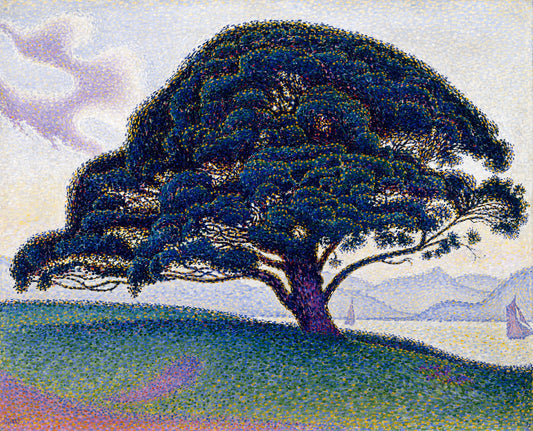 Le pin Bonaventure | Paul Signac | 1893