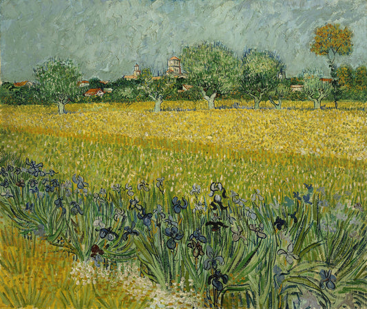 View of Arles with Irises in the Foreground | Vincent van Gogh | 1888