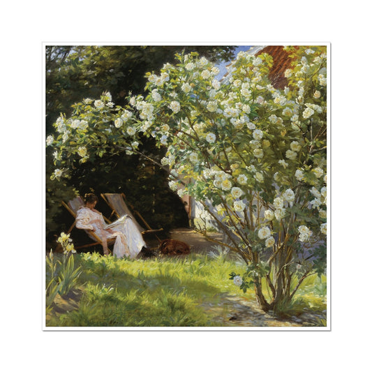 Roses | Peder Severin Kroyer | 1893