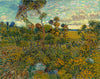 Sunset at Montmajour | Vincent Van Gogh | 1888