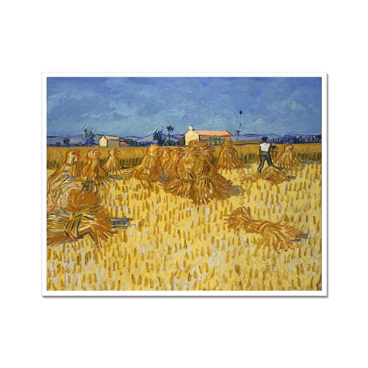 Maisernte in der Provence | Vincent Van Gogh | 1888